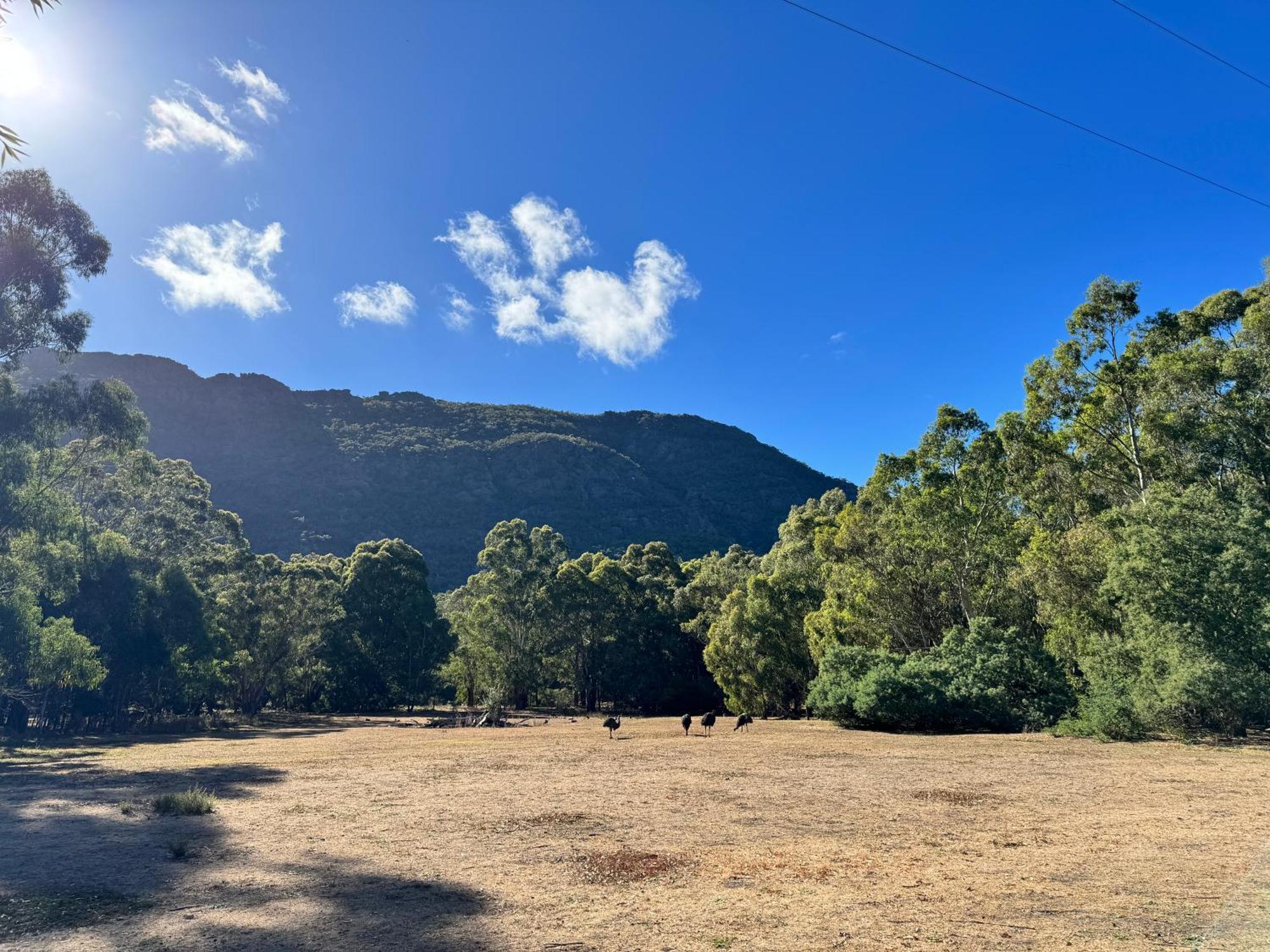 Halls Gap Log Cabins מראה חיצוני תמונה