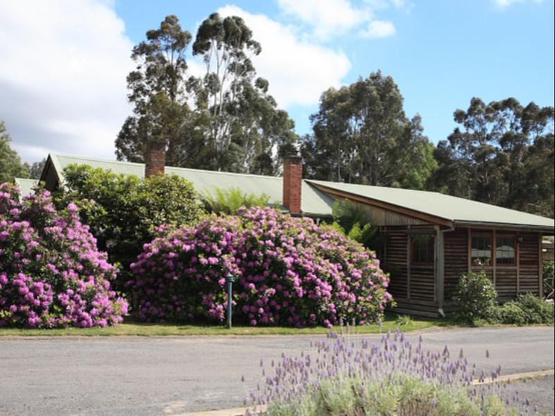 Halls Gap Log Cabins מראה חיצוני תמונה