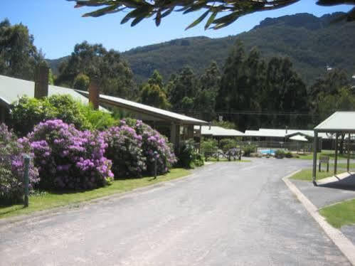 Halls Gap Log Cabins מראה חיצוני תמונה